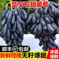 旭霁 金手指葡萄水果礼盒 蓝宝石黑加伦提子东北辽宁生鲜中秋团购送礼 净重3斤精选串装丨苣划算 商超品质果