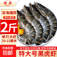 青岛黑虎虾鲜活速冻虾特大斑节虾超大号海虾 2斤装 16-20只每盒 超大虎虾(20-22cm) 1kg(净重)