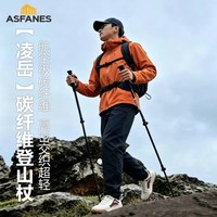 阿法恩 碳纤维登山杖 AFN-P1754 64-135cm