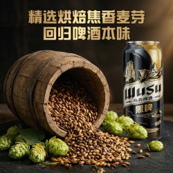 乌苏啤酒 精酿黑啤 500ml×12罐