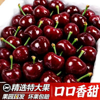 果乐族 山东烟台国产大樱桃 3斤 精选J级 礼盒装