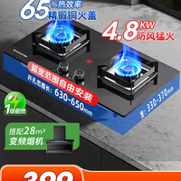 艾美特 台式嵌入式燃气灶双灶 AZ52X 4.8kW防风锅架+防烫提醒 天然气
