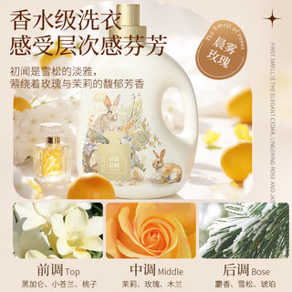 植护 晨雾玫瑰除菌除螨洗衣液 1kg 单瓶装