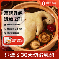 1号会员店 富硒汤鸽 530g (2只)