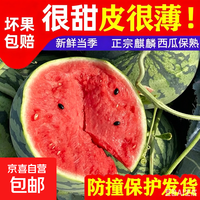 京喜自营-专用品牌 正宗美都麒麟8424西瓜 JD送货上门 净果4.1-6斤