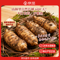 京觅 云南头茬新鲜天麻净重1斤单果100g+