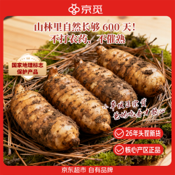 京觅 云南头茬新鲜天麻+煲汤食材现挖 净重1斤单果50g