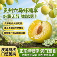 夏橙益佳 2026现摘贵州镇宁六马蜂糖李当季新鲜水果脆甜爆汁办公室零食 3斤装-单果25-40g