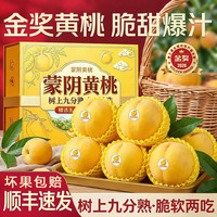 京典光年 蒙阴黄桃 精选超大果 4.5斤