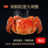 湖鲜阳澄 大闸蟹 去绳足重 2.8-3.1两 8只 六月黄特大螃蟹现货海鲜大蟹礼盒装
