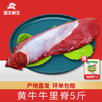 滩羊鲜生 宁夏黄牛肉 生鲜牛里脊5斤原切菲力烤肉烧烤火锅食材源头直发