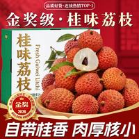 晟容果蔬 广东桂味荔枝茂名高州现摘荔枝新鲜水果送礼 3斤独享装