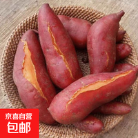 湛江源头直发新鲜红心西瓜红红薯蜜薯现挖现发沙地地瓜 净重2斤 小果50g起