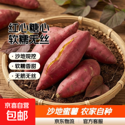 山东 西瓜红蜜薯 红心红薯 9斤