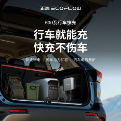 ECOFLOW 正浩600W快充户外移动电源车载充电器配件