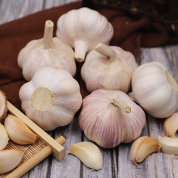 宝菜 紫白皮干蒜 5.0cm大果 4条装800g+ 生鲜蔬菜