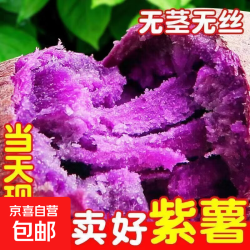 山东紫薯紫罗兰新鲜现挖正宗沙地番薯香甜红薯蜜薯地瓜减脂餐 3斤净重家庭装