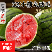京东 头茬小糖丸西瓜正宗爆款砀山2K薄皮西瓜现摘新鲜孕妇水果 1.5-2斤1个