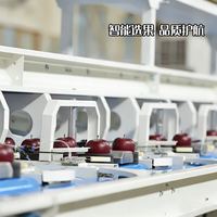京喜 正宗天水花牛苹果 粉面香甜 产地直发 坏果包赔 2粒尝鲜（大果80mm+）