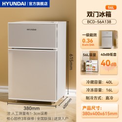 HYUNDAI 现代小冰箱家用小型双开门租房宿舍节能省电冰箱