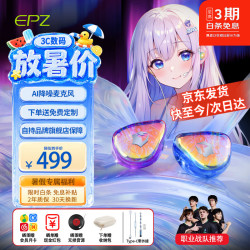 EPZ G30 有线耳机 Type-C 独立麦版
