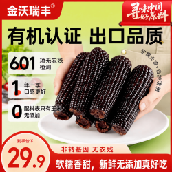 金沃瑞丰 精品有机 黑糯玉米棒260g*8根 新鲜甜粘黏 早餐
