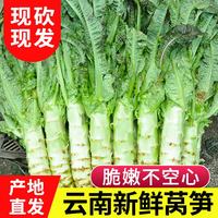 中鲜生 云南新鲜莴笋 新鲜青笋露天绿肉莴笋应季农家自种火锅蔬菜生鲜