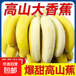 京喜加 正宗广东果园直发现摘现发香蕉软糯无添加孕妇小孩安