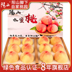 阳山 无锡阳山水蜜桃 8-9两 6个礼盒
