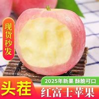 京喜 精品果洛川丑苹果陕西高山冰糖心红富士当季新鲜水果 净重4.5斤小果