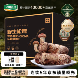 华田禾邦 香格里拉新鲜松茸1斤 出口级精选5-7CM 高端礼盒云南源头直发
