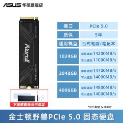 华硕 金士顿野兽FURY PCIE5.0 1T/2T/4T华硕笔记本台式电脑固态硬盘SSD