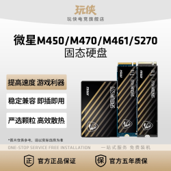 微星 M450/M470/M461/S270固态硬盘笔记本台式固态硬盘M.2PCIE4.0 240g