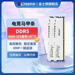 金士顿 骇客神条ddr5 6000/6400 马甲台式机电竞内存套条超频灯带