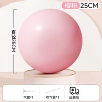 京迪尼 排腹压 悬垂腹修复 25cm防爆瑜伽球+气塞+吹气管