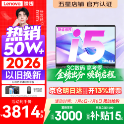 联想 小新Pro14 酷睿i5-12450H 无机械硬盘 1920*1200 灰色 512GB 60Hz 16GB 14英寸