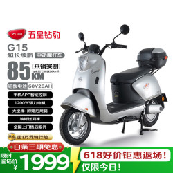 五星钻豹 长续航 电动摩托车 金属钛银