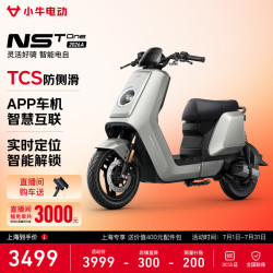 小牛电动 NST One 电动自行车