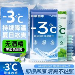 简禾 冷感湿巾冰丝凉感速干凉爽消暑汗巾游泳健身运动擦汗巾棉柔湿巾 便携冷感湿巾10包