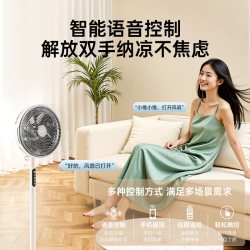 创维 冰岛落地电风扇2026新款用台式空气循环扇大风力静音