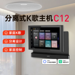向往 C12分离式背景音乐主机系统套装居吸顶嵌入式喇叭音响功放家用KTV点歌机 C12单主机