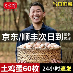 乡公馆 新鲜鸡蛋 农家谷物散养 柴鸡蛋 草鸡蛋即食 生鲜 土鸡蛋60枚 整箱2.4kg