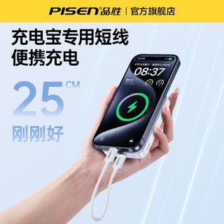 品胜 Type-C转Type-C快充数据线