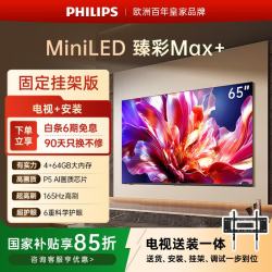 飞利浦 电视691系列65英寸MiniLED壁画AI游戏电视机65MLED691/T3