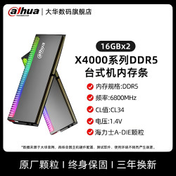 大华 内存条ddr5 16g 6800套装RGB/XMP电脑内存台式海力士Adie颗粒
