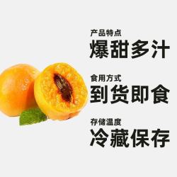 寻天果蔬 新疆阿克苏吊干小红杏水果 8-12g 0.9斤/装