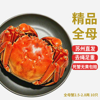 乾澄 大闸蟹现货 特大全母蟹2.5-2.8两10只