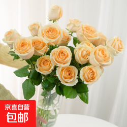 京东 云南鲜花玫瑰花30枝水养花束基地直发1 随机色玫瑰30枝
