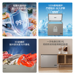 海尔 商用大容量冷藏柜冷冻柜两用冰柜家用小型冰箱