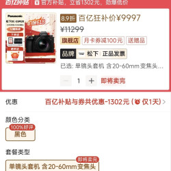 松下 S5M2+20-60 套机